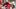 College Football Rankings: ESPN Refreshes the New Top 25 Poll for Week 2 College Football Rankings: ESPN Refreshes the New Top 25 Poll for Week 2