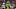 oregon ducks iverson hooks transfer portal tez johnson wide receiver dan lanning evan stewart alabama dakorien moore media oregon ducks iverson hooks transfer portal tez johnson wide receiver dan lanning evan stewart alabama dakorien moore media
