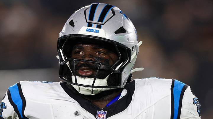 Carolina Panthers defensive lineman Lee Hunter