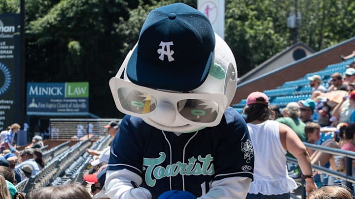 Asheville Tourists and Winston-Salem Dash