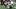 Cleveland Browns, New York Jets Cleveland Browns, New York Jets