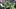 Fantasy Football, Saquon Barkley, Philadelphia Eagles Fantasy Football, Saquon Barkley, Philadelphia Eagles