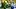 oregon ducks wide receiver evan stewart dakorien moore jordon davison jamari johnson dan lanning nebraska cornhuskers big ten oregon ducks wide receiver evan stewart dakorien moore jordon davison jamari johnson dan lanning nebraska cornhuskers big ten