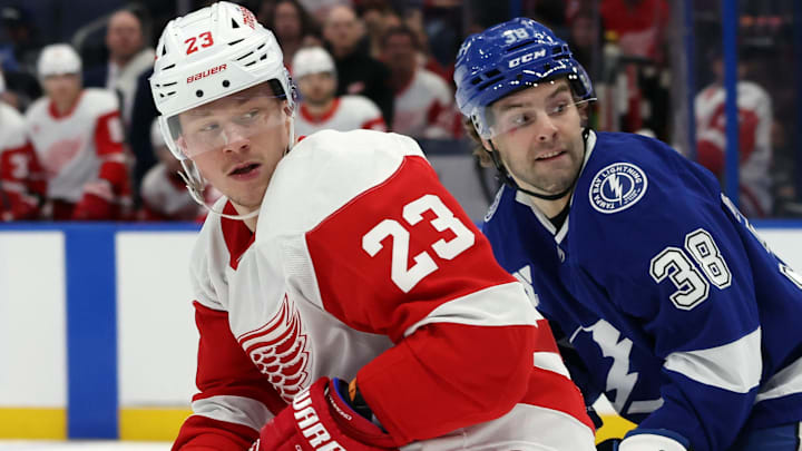 Apr 11, 2025; Tampa, Florida, USA; Detroit Red Wings left wing Lucas Raymond (23) and Tampa Bay Lightning left wing Brandon Hagel (38) looks back during the second period at Amalie Arena. Mandatory Credit: Kim Klement Neitzel-Imagn Images