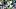 oregon ducks dante moore dan lanning offensive line depth chart quarterback tight end running back fox crader receiver