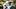 Oregon Ducks football Dan Lanning recruiting recruiting 2027 Xavier Sabb Dakota Guerrant Malachi Garlington wide receivers Oregon Ducks football Dan Lanning recruiting recruiting 2027 Xavier Sabb Dakota Guerrant Malachi Garlington wide receivers