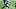 New England Patriots wide receiver Kayshon Boutte New England Patriots wide receiver Kayshon Boutte