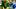 oregon ducks coach dan lanning northwestern wildcats jay johnson dylan raiola dante moore big ten autzen stadium preview oregon ducks coach dan lanning northwestern wildcats jay johnson dylan raiola dante moore big ten autzen stadium preview