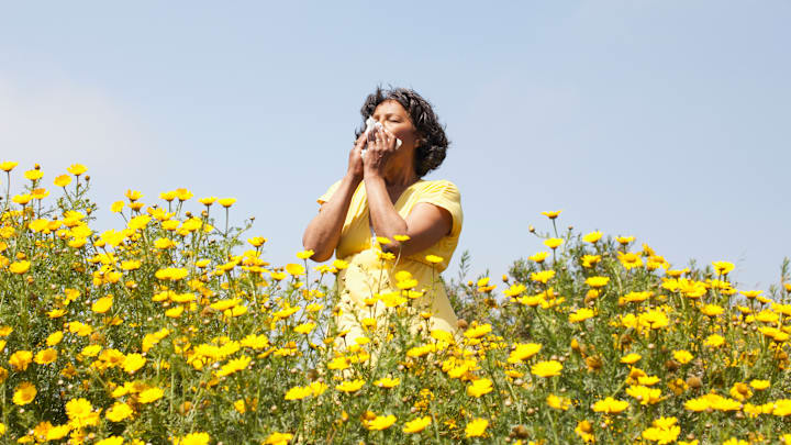 Stopping to smell the flowers isn't all it's cracked up to be.