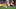 Gary Mabbutt Tottenham Gary Mabbutt Tottenham