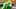 The Oregon Duck adorns the uniforms as the Oregon Ducks host the Maryland Terrapins at Autzen Stadium Saturday, Nov. 9, 2024 