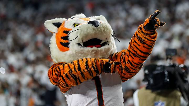 Sep 29, 2022; Cincinnati, Ohio, USA; The Cincinnati Bengals mascot, Who Dey, reacts after a touchdown scored against the Miami Dolphins in the first half at Paycor Stadium. Mandatory Credit: Katie Stratman-USA TODAY Sports