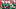 Daniel Kaelin and TJ Lateef and more quarterbacks 2026-03-10 Nebraska football Daniel Kaelin and TJ Lateef and more quarterbacks 2026-03-10 Nebraska football