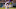 Minnesota Vikings Minnesota Vikings