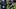 Jarrett Stidham