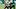 Florida Atlantic Owls running back Gemari Sands Florida Atlantic Owls running back Gemari Sands