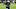 New England Patriots linebacker Jesse Luketa New England Patriots linebacker Jesse Luketa