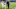 jahmyr-gibbs-lions-rushing jahmyr-gibbs-lions-rushing