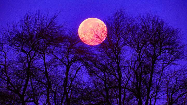 Red Orange Full Moon
