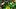oregon ducks aydin breland defensive line usc trojans road game bear alexander ucla bruins nico iamaleava dan lanning big ten oregon ducks aydin breland defensive line usc trojans road game bear alexander ucla bruins nico iamaleava dan lanning big ten