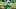 Oregon Ducks College Football Big Ten Brandon Finney Jr. Teitum Tuioti Dante Moore Texas Tech Red Raiders Orange Bowl Oregon Ducks College Football Big Ten Brandon Finney Jr. Teitum Tuioti Dante Moore Texas Tech Red Raiders Orange Bowl