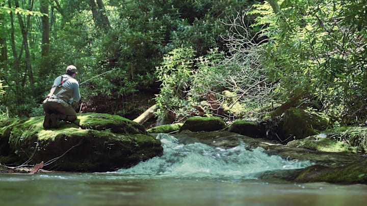 Chasing the natives. Chasing the natives.