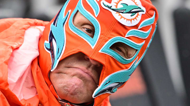 A Miami Dolphins fan A Miami Dolphins fan