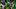 oregon ducks recruiting jalen lott wide receiver dakorien moore dan lanning evan stewart matayo uiagalelei bo nix dakorien oregon ducks recruiting jalen lott wide receiver dakorien moore dan lanning evan stewart matayo uiagalelei bo nix dakorien