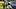 Sep 6, 2026; Nashville, Tennessee, USA; Mississippi Rebels quarterback Trinidad Chambliss (6) passes the ball down field Sep 6, 2026; Nashville, Tennessee, USA; Mississippi Rebels quarterback Trinidad Chambliss (6) passes the ball down field