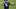 Seattle Seahawks place kicker Jason Myers watches his field goal during the fourth quarter against the New England Patriots. Seattle Seahawks place kicker Jason Myers watches his field goal during the fourth quarter against the New England Patriots.