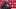 Nebraska defensive coordinator Rob Aurich meets with the media during 2026 spring practices. Nebraska defensive coordinator Rob Aurich meets with the media during 2026 spring practices.