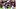 South Carolina Gamecocks running back Christian Clark South Carolina Gamecocks running back Christian Clark