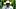 NCAA College Football Deion Sanders Pat McQuaide Villanova Lawsuit Eligibility College Football Ezra Christensen NCAA College Football Deion Sanders Pat McQuaide Villanova Lawsuit Eligibility College Football Ezra Christensen