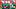 Daniel Kaelin and TJ Lateef and more quarterbacks 2026-03-10 Nebraska football Daniel Kaelin and TJ Lateef and more quarterbacks 2026-03-10 Nebraska football
