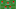 Austria’s predicted starting XI for the 2026 World Cup. Austria’s predicted starting XI for the 2026 World Cup.