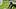 colorado buffaloes deion sanders coach prime cu buffs football quency wiggins keaten wade defensive line position battle cfb