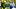 Oregon Ducks Evan Stewart Boise State Broncos Autzen Stadium College Football Spencer Danielson Dan Lanning Oregon Ducks Evan Stewart Boise State Broncos Autzen Stadium College Football Spencer Danielson Dan Lanning