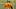 USM, Matthew Russo USM, Matthew Russo