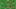 Switzerland’s predicted starting XI for the 2026 World Cup. Switzerland’s predicted starting XI for the 2026 World Cup.