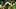 oregon ducks dante moore japan billboard heisman trophy campaign dan lanning nfl draft decision nil oregon ducks dante moore japan billboard heisman trophy campaign dan lanning nfl draft decision nil