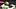 oregon ducks dante moore dan lanning offensive line depth chart quarterback tight end running back fox crader receiver
