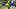 oregon ducks chris hampton defensive coordinator fall camp dan lanning koi perich brandon finney secondary nasir wyatt oregon ducks chris hampton defensive coordinator fall camp dan lanning koi perich brandon finney secondary nasir wyatt