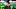 Oregon Ducks Indiana Hoosiers College Football Big Ten Dan Lanning Curt Cignetti Ryan Day Ohio State Buckeyes CFP trophy Oregon Ducks Indiana Hoosiers College Football Big Ten Dan Lanning Curt Cignetti Ryan Day Ohio State Buckeyes CFP trophy