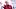 South Carolina Gamecocks coach Shane Beamer South Carolina Gamecocks coach Shane Beamer