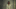 01_LONGLEGS_MaikaMonroe_CourtesyofNEON_rgb 01_LONGLEGS_MaikaMonroe_CourtesyofNEON_rgb