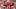San Francisco 49ers quarterback Brock Purdy San Francisco 49ers quarterback Brock Purdy