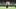 Fantasy Football, Colston Loveland, Chicago Bears Fantasy Football, Colston Loveland, Chicago Bears