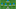 DR Congo’s predicted lineup for the 2026 World Cup. DR Congo’s predicted lineup for the 2026 World Cup.