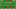 Canada’s potential starting XI at the 2026 World Cup. Canada’s potential starting XI at the 2026 World Cup.