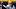 oregon ducks coach dan lanning northwestern wildcats jay johnson dylan raiola dante moore big ten autzen stadium preview oregon ducks coach dan lanning northwestern wildcats jay johnson dylan raiola dante moore big ten autzen stadium preview
